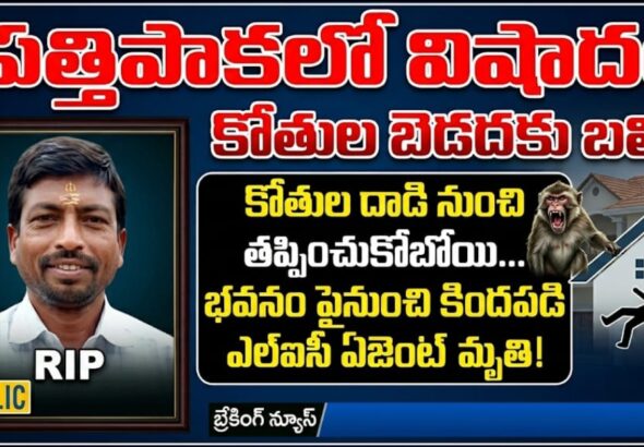 Screenshot_2026-03-27-09-22-49-12_6012fa4d4ddec268fc5c7112cbb265e7