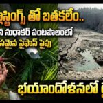 Screenshot_2026-03-27-19-34-10-46_6012fa4d4ddec268fc5c7112cbb265e7