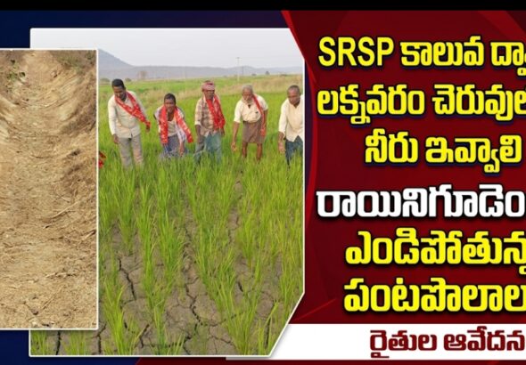 Screenshot_2026-04-07-15-01-07-12_680d03679600f7af0b4c700c6b270fe7