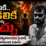 Screenshot_2026-04-25-08-23-37-04_96b26121e545231a3c569311a54cda96